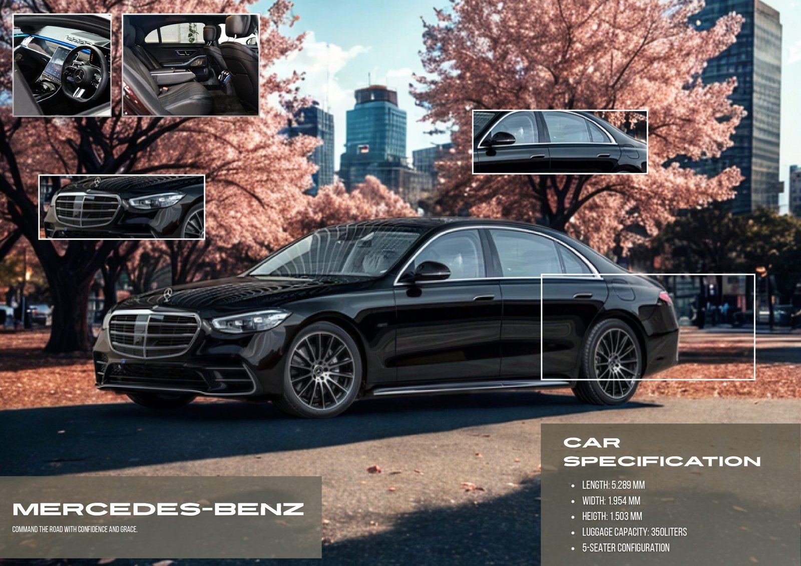 Mercy S Class: High Prestise